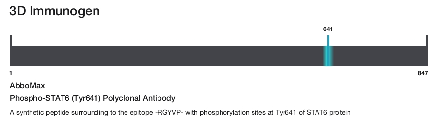 Phospho-STAT6 (Tyr641) Polyclonal Antibody