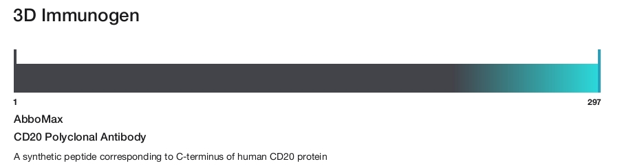 CD20 Polyclonal Antibody