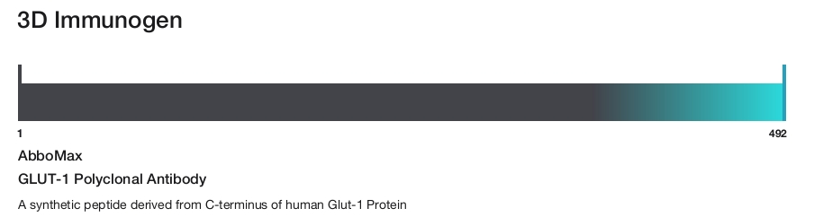GLUT-1 Polyclonal Antibody