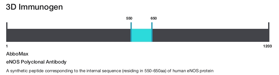 eNOS Polyclonal Antibody