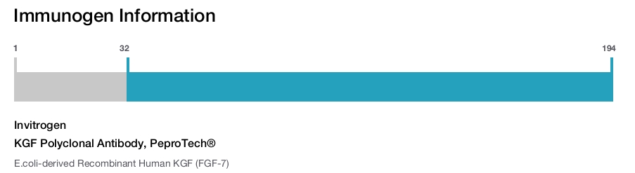 KGF Polyclonal Antibody, PeproTech®