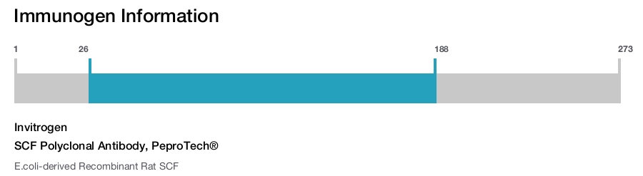 SCF Polyclonal Antibody, PeproTech&reg;