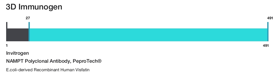 NAMPT Polyclonal Antibody, PeproTech&reg;