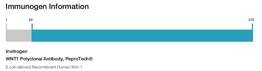 WNT1 Polyclonal Antibody, PeproTech®