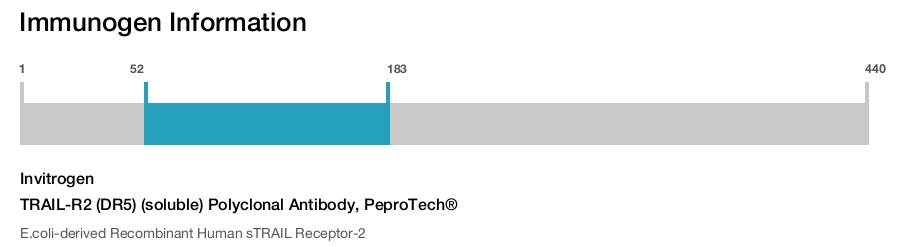 TRAIL-R2 (DR5) (soluble) Polyclonal Antibody, PeproTech&reg;