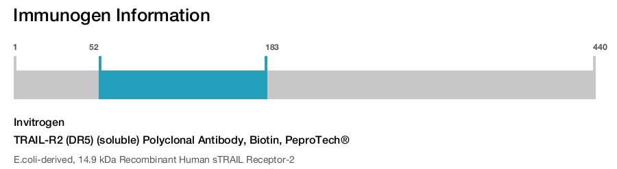 TRAIL-R2 (DR5) (soluble) Polyclonal Antibody, Biotin, PeproTech&reg;