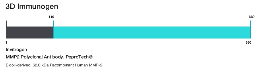 MMP2 Polyclonal Antibody, PeproTech&reg;
