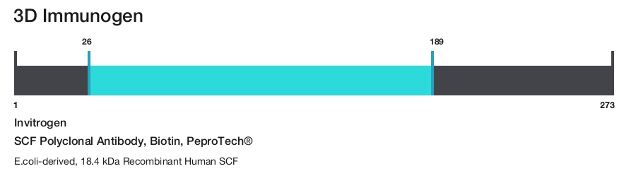SCF Polyclonal Antibody, Biotin, PeproTech&reg;