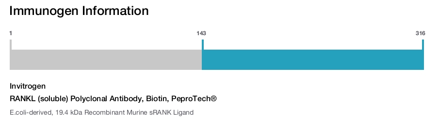 RANKL (soluble) Polyclonal Antibody, Biotin, PeproTech®