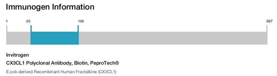 CX3CL1 Polyclonal Antibody, Biotin, PeproTech®