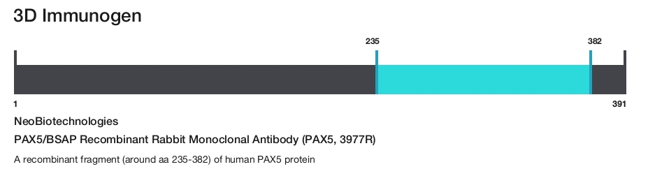 PAX5/BSAP Recombinant Rabbit Monoclonal Antibody (PAX5, 3977R)