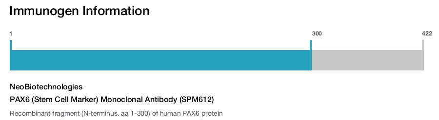 PAX6 (Stem Cell Marker) Monoclonal Antibody (SPM612)