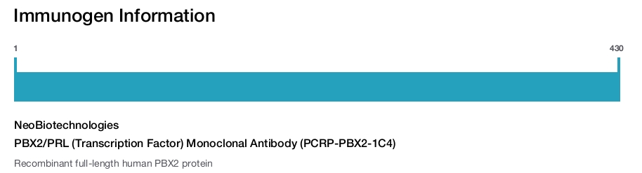 PBX2/PRL (Transcription Factor) Monoclonal Antibody (PCRP-PBX2-1C4)