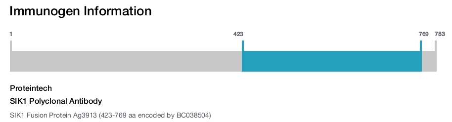 SIK1 Polyclonal Antibody