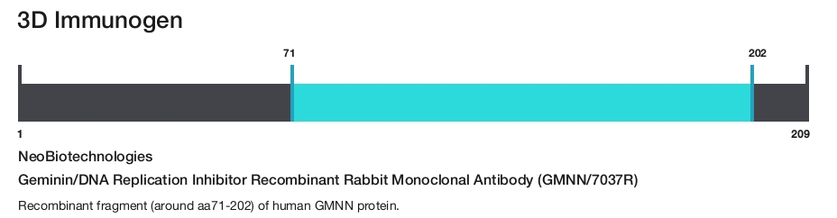 Geminin/DNA Replication Inhibitor Recombinant Rabbit Monoclonal Antibody (GMNN/7037R)