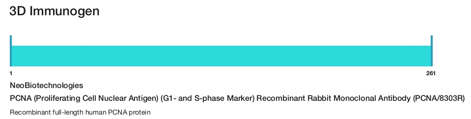 PCNA (Proliferating Cell Nuclear Antigen) (G1- and S-phase Marker) Recombinant Rabbit Monoclonal Antibody (PCNA/8303R)