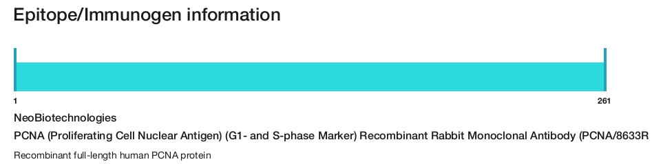 PCNA (Proliferating Cell Nuclear Antigen) (G1- and S-phase Marker) Recombinant Rabbit Monoclonal Antibody (PCNA/8633R)