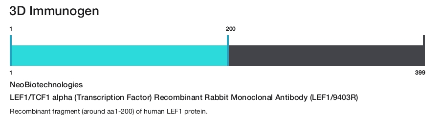 LEF1/TCF1 alpha (Transcription Factor) Recombinant Rabbit Monoclonal Antibody (LEF1/9403R)