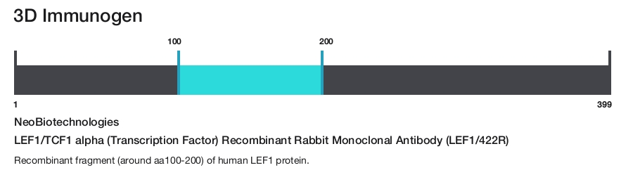 LEF1/TCF1 alpha (Transcription Factor) Recombinant Rabbit Monoclonal Antibody (LEF1/422R)