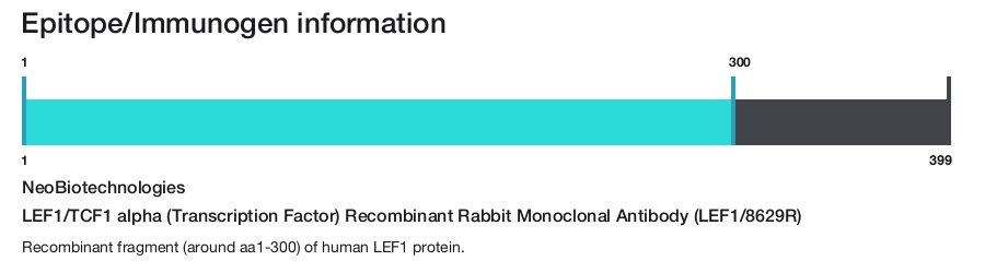 LEF1/TCF1 alpha (Transcription Factor) Recombinant Rabbit Monoclonal Antibody (LEF1/8629R)