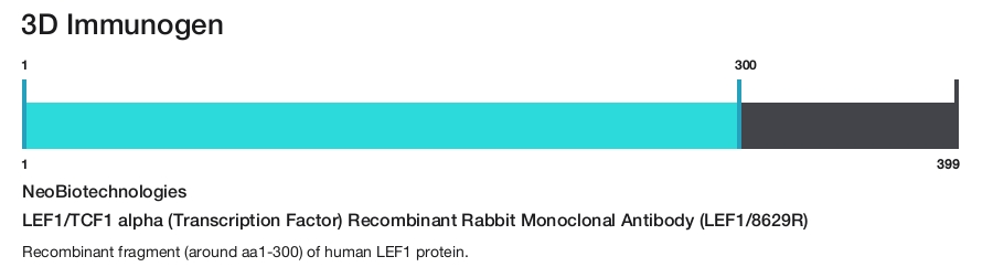 LEF1/TCF1 alpha (Transcription Factor) Recombinant Rabbit Monoclonal Antibody (LEF1/8629R)