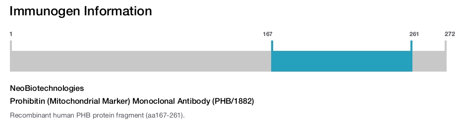 Prohibitin (Mitochondrial Marker) Monoclonal Antibody (PHB/1882)