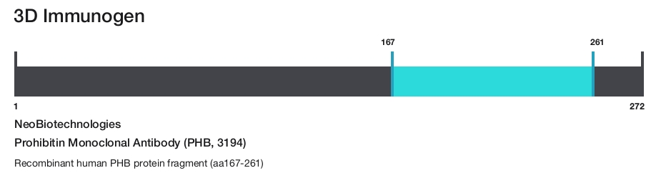 Prohibitin Monoclonal Antibody (PHB, 3194)