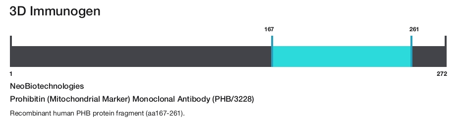 Prohibitin (Mitochondrial Marker) Monoclonal Antibody (PHB/3228)