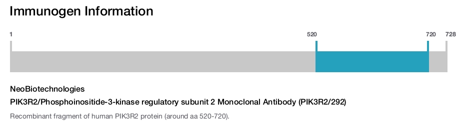 PIK3R2/Phosphoinositide-3-kinase regulatory subunit 2 Monoclonal Antibody (PIK3R2/292)