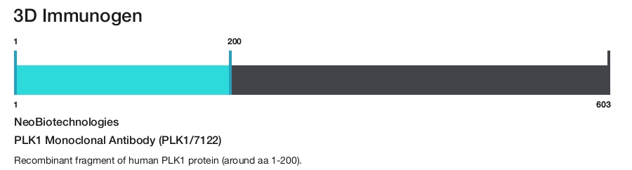 PLK1 Monoclonal Antibody (PLK1/7122)