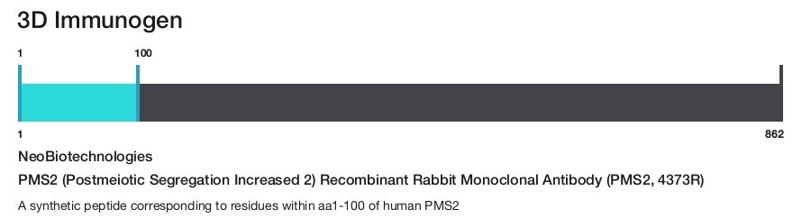 PMS2 (Postmeiotic Segregation Increased 2) Recombinant Rabbit Monoclonal Antibody (PMS2, 4373R)