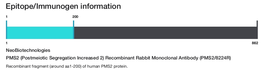 PMS2 (Postmeiotic Segregation Increased 2) Recombinant Rabbit Monoclonal Antibody (PMS2/8224R)
