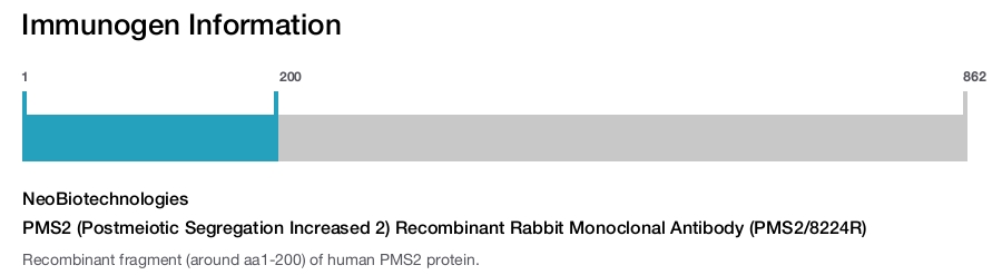 PMS2 (Postmeiotic Segregation Increased 2) Recombinant Rabbit Monoclonal Antibody (PMS2/8224R)