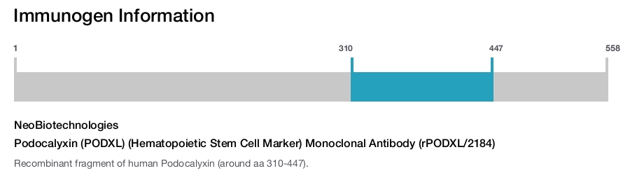 Podocalyxin (PODXL) (Hematopoietic Stem Cell Marker) Monoclonal Antibody (rPODXL/2184)
