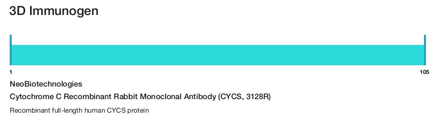 Cytochrome C Recombinant Rabbit Monoclonal Antibody (CYCS, 3128R)