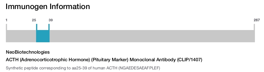 ACTH (Adrenocorticotrophic Hormone) (Pituitary Marker) Monoclonal Antibody (CLIP/1407)