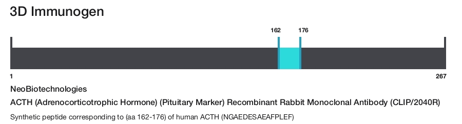 ACTH (Adrenocorticotrophic Hormone) (Pituitary Marker) Recombinant Rabbit Monoclonal Antibody (CLIP/2040R)