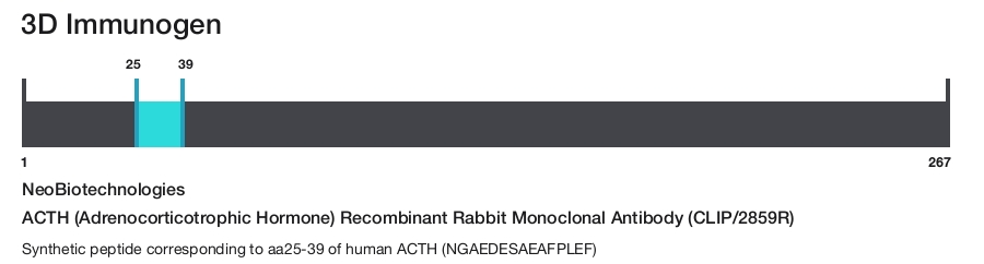 ACTH (Adrenocorticotrophic Hormone) Recombinant Rabbit Monoclonal Antibody (CLIP/2859R)