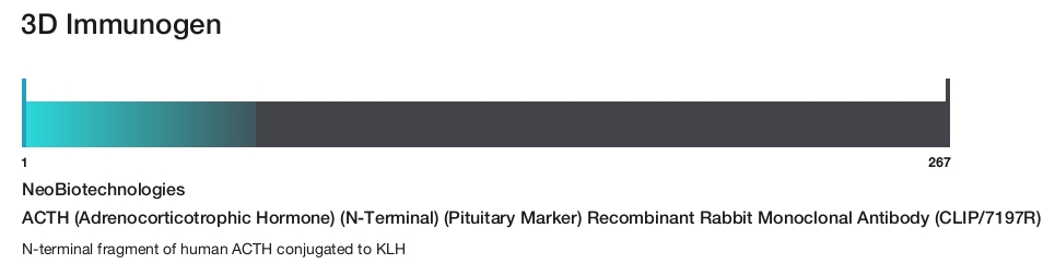ACTH (Adrenocorticotrophic Hormone) (N-Terminal) (Pituitary Marker) Recombinant Rabbit Monoclonal Antibody (CLIP/7197R)