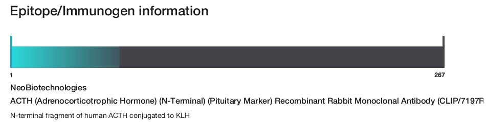 ACTH (Adrenocorticotrophic Hormone) (N-Terminal) (Pituitary Marker) Recombinant Rabbit Monoclonal Antibody (CLIP/7197R)