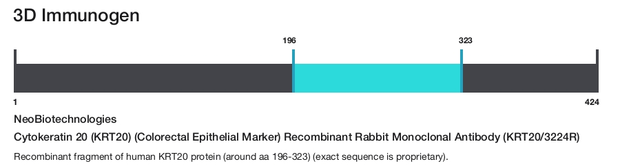 Cytokeratin 20 (KRT20) (Colorectal Epithelial Marker) Recombinant Rabbit Monoclonal Antibody (KRT20/3224R)
