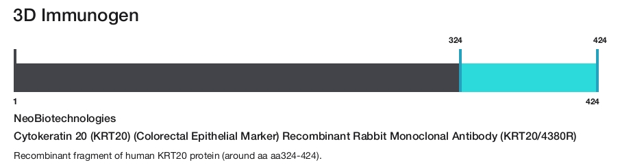 Cytokeratin 20 (KRT20) (Colorectal Epithelial Marker) Recombinant Rabbit Monoclonal Antibody (KRT20/4380R)