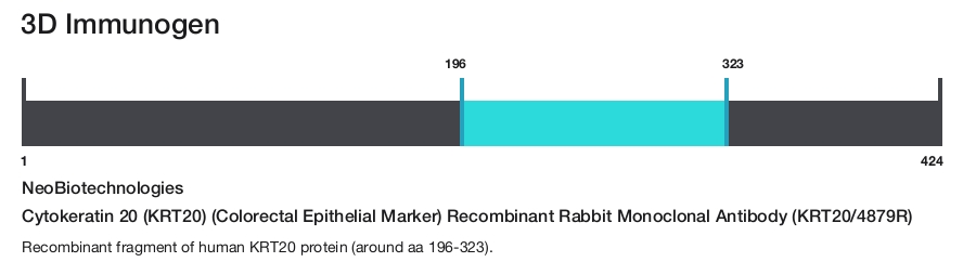 Cytokeratin 20 (KRT20) (Colorectal Epithelial Marker) Recombinant Rabbit Monoclonal Antibody (KRT20/4879R)