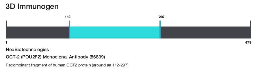OCT-2 (POU2F2) Monoclonal Antibody (86839)