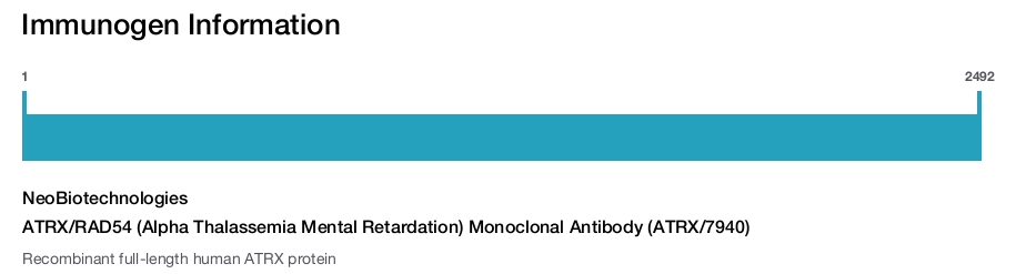ATRX/RAD54 (Alpha Thalassemia Mental Retardation) Monoclonal Antibody (ATRX/7940)