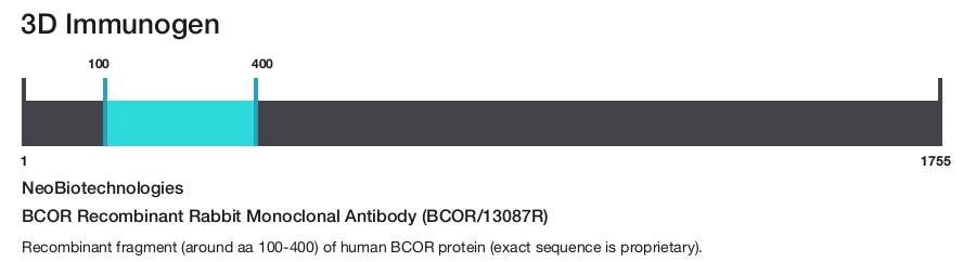 BCOR Recombinant Rabbit Monoclonal Antibody (BCOR/13087R)