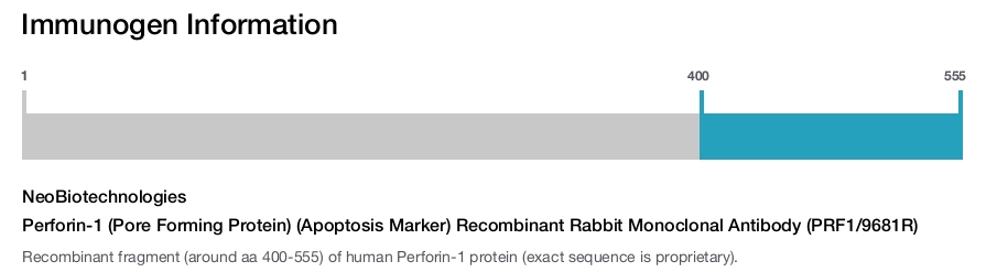 Perforin-1 (Pore Forming Protein) (Apoptosis Marker) Recombinant Rabbit Monoclonal Antibody (PRF1/9681R)