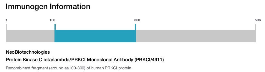 Protein Kinase C iota/lambda/PRKCI Monoclonal Antibody (PRKCI/4911)