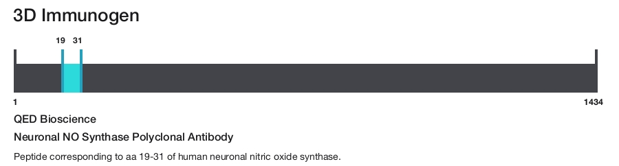 Neuronal NO Synthase Polyclonal Antibody