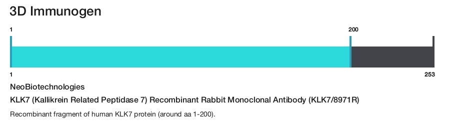 KLK7 (Kallikrein Related Peptidase 7) Recombinant Rabbit Monoclonal Antibody (KLK7/8971R)
